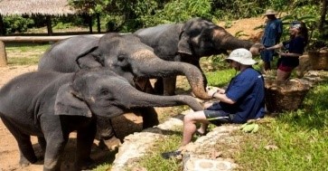 siamsmiletravel- Elephant Phang Nga Sancury Park